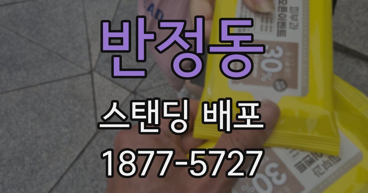 반정동 스탠딩 배포