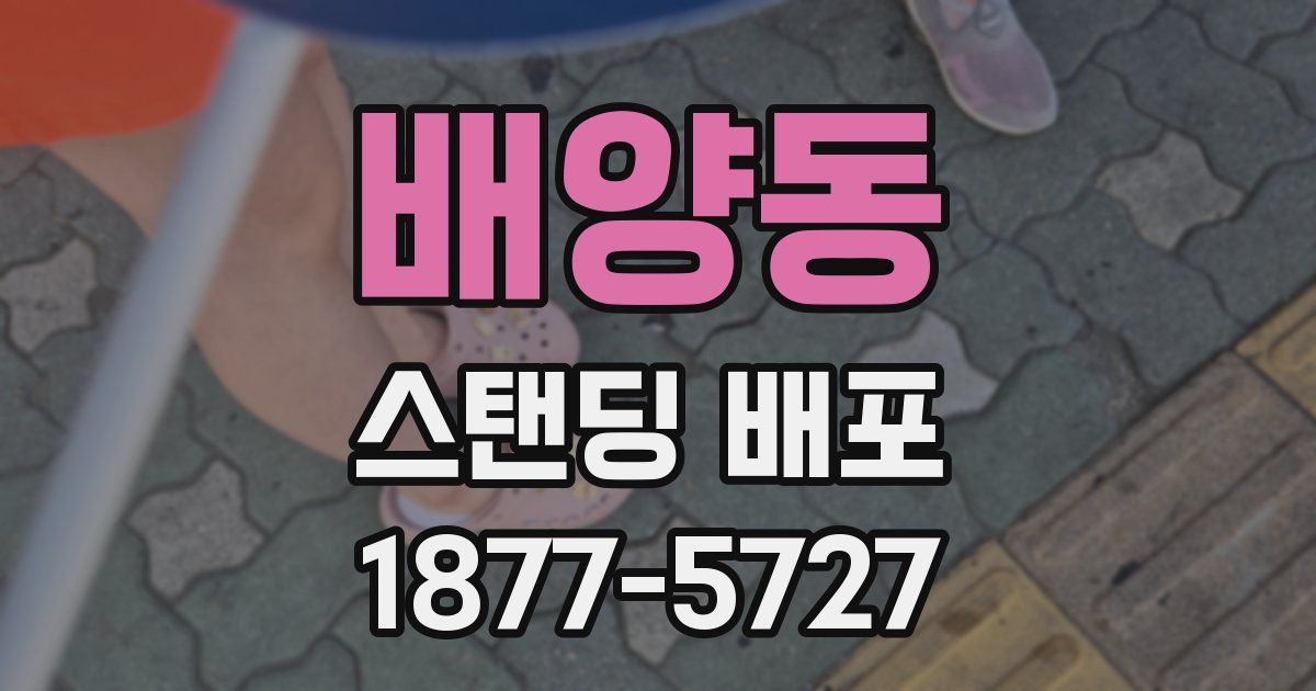배양동 스탠딩 배포