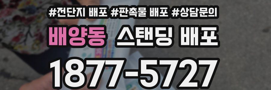 배양동 스탠딩 배포