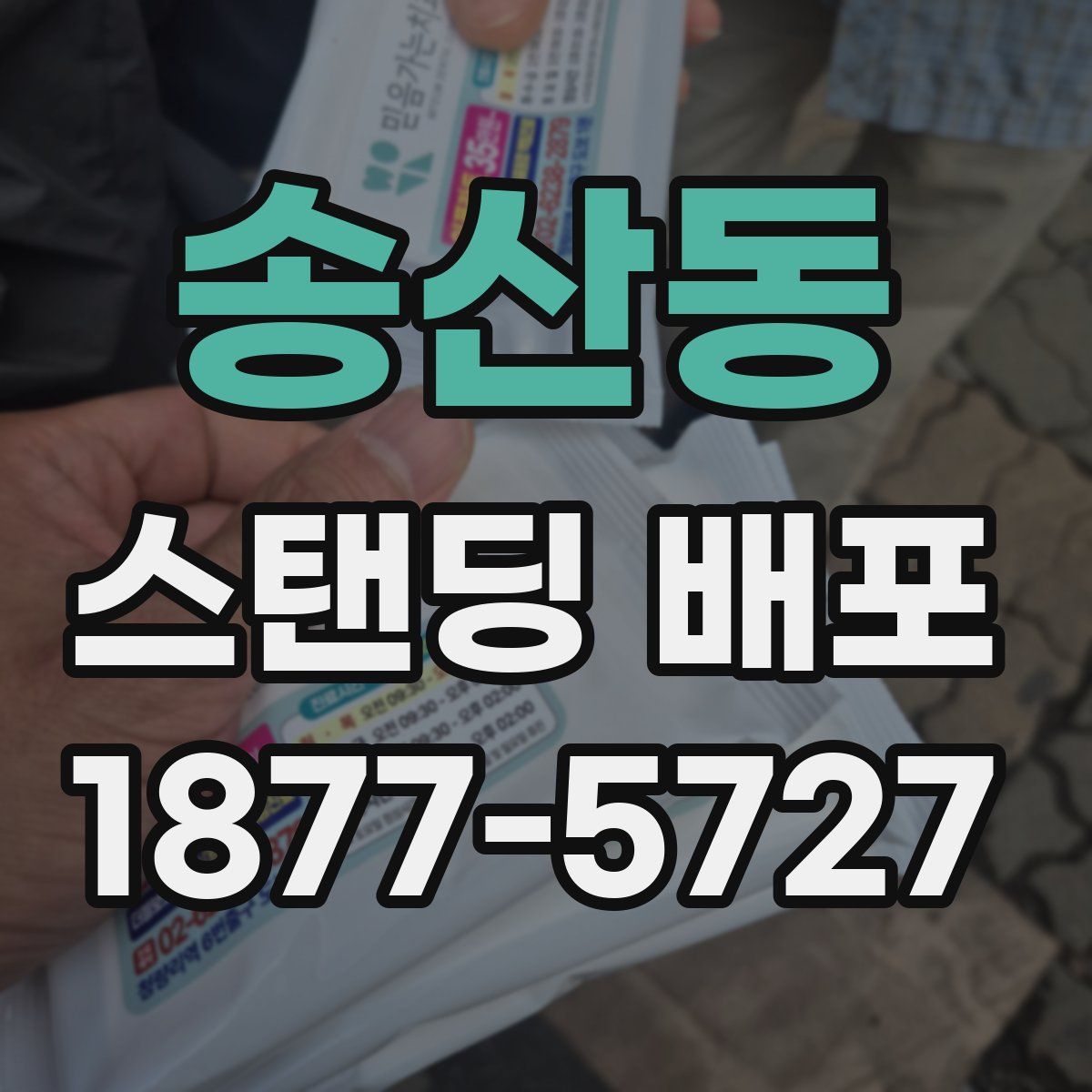 송산동 스탠딩 배포