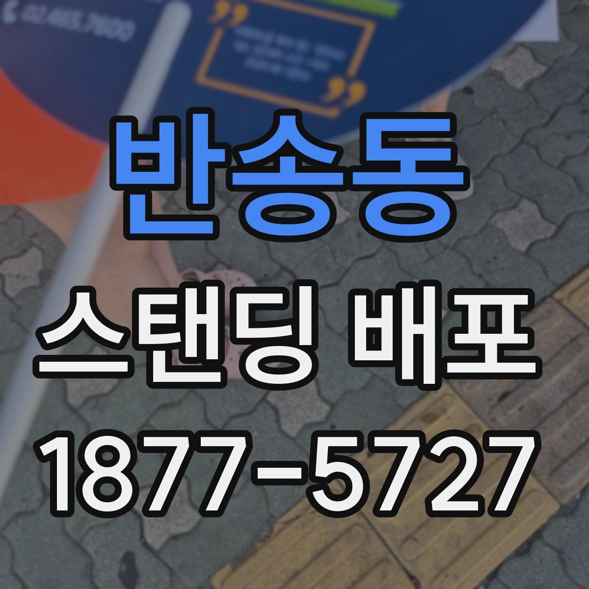 반송동 스탠딩 배포