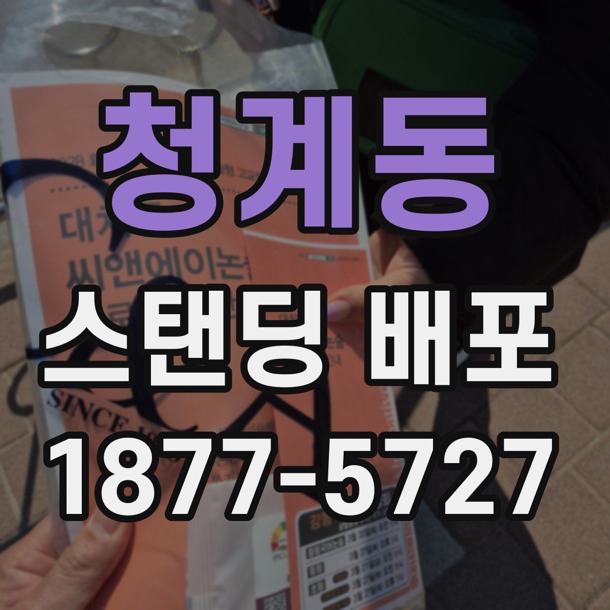 청계동 스탠딩 배포