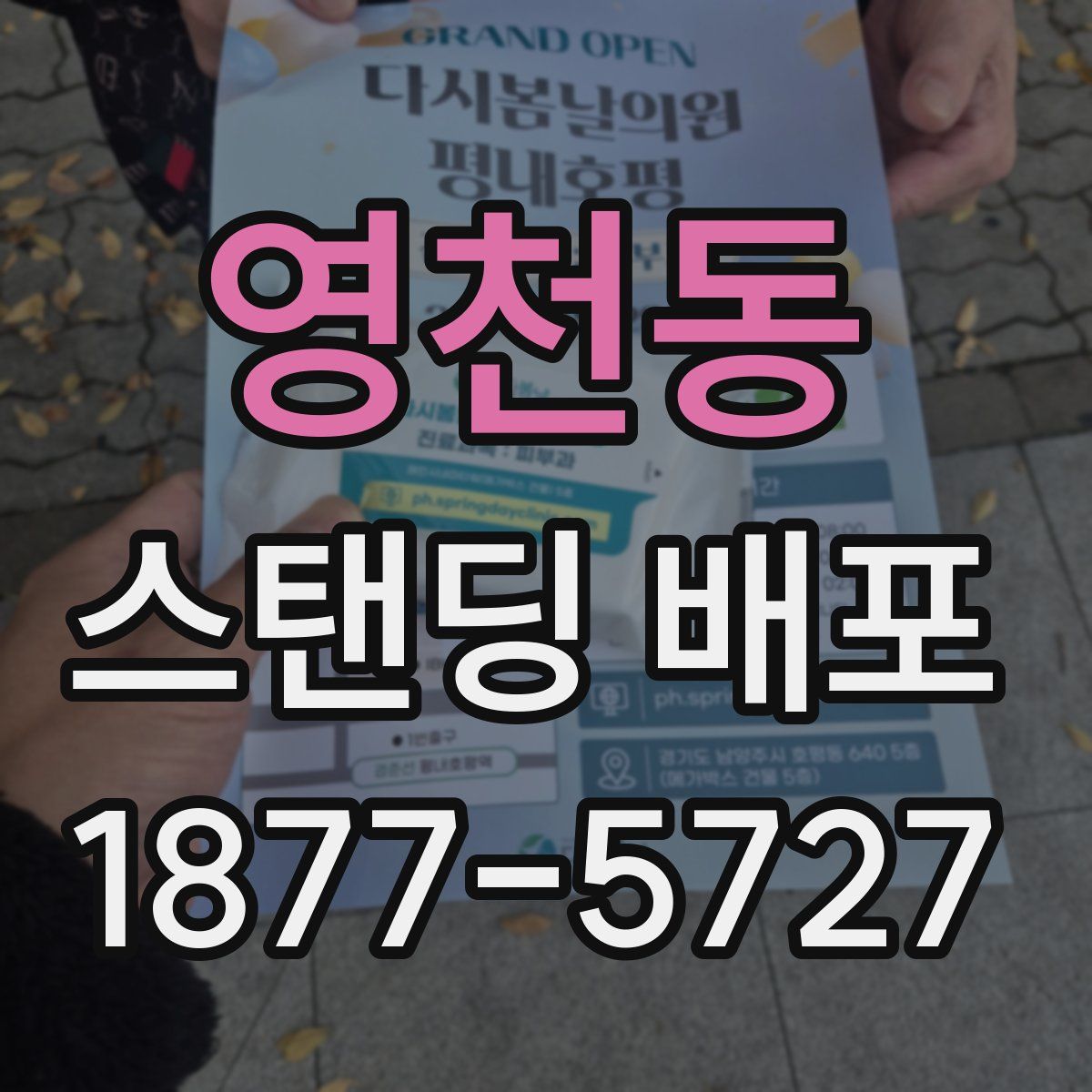 영천동 스탠딩 배포