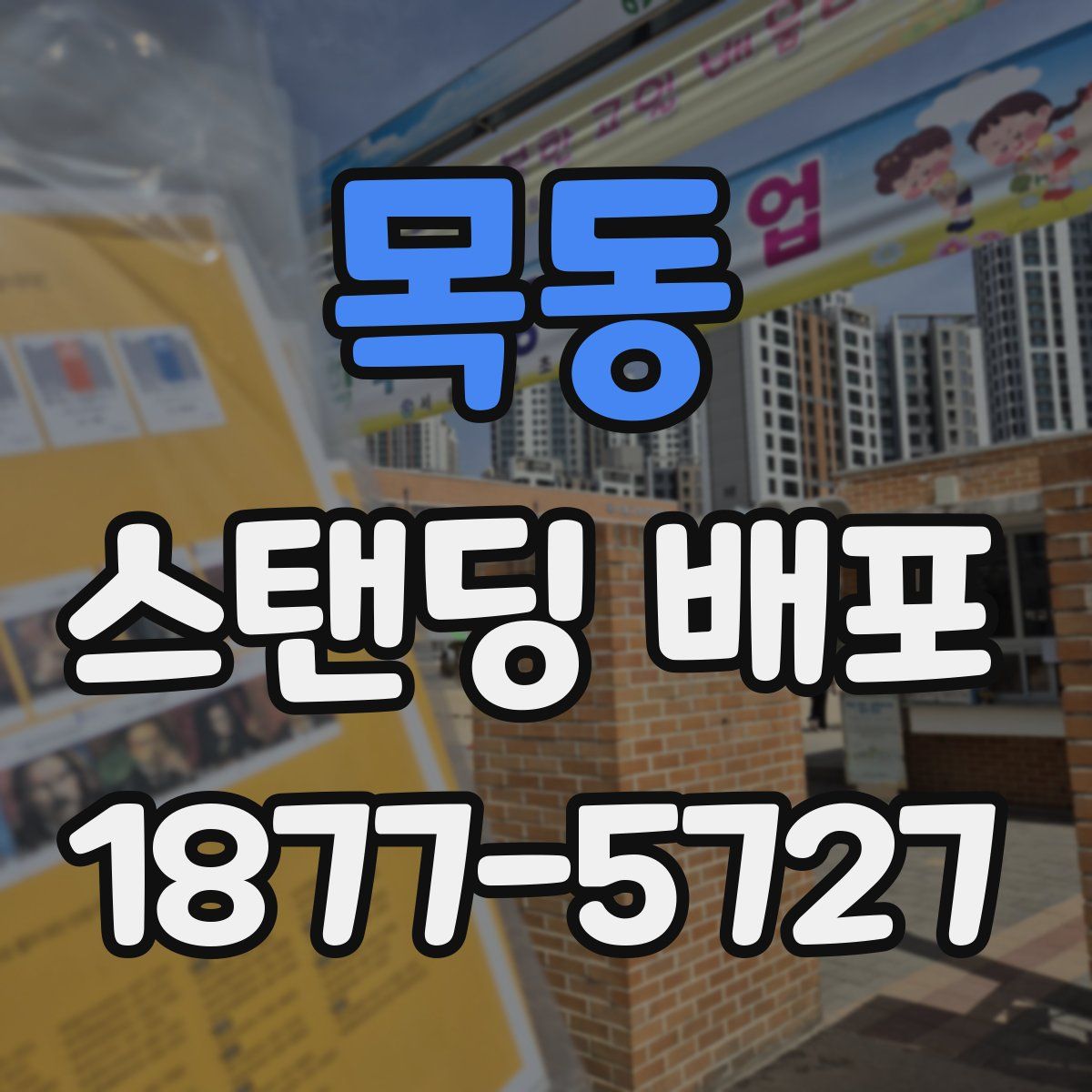 목동 스탠딩 배포