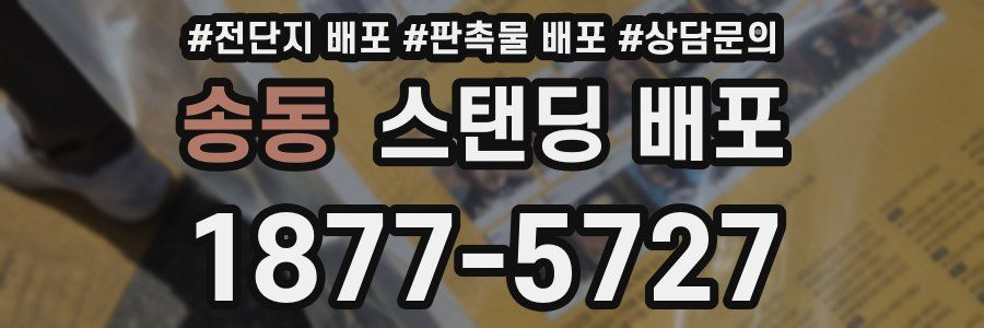 송동 스탠딩 배포