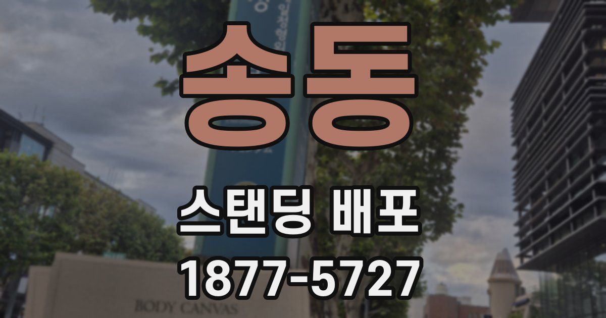 송동 스탠딩 배포