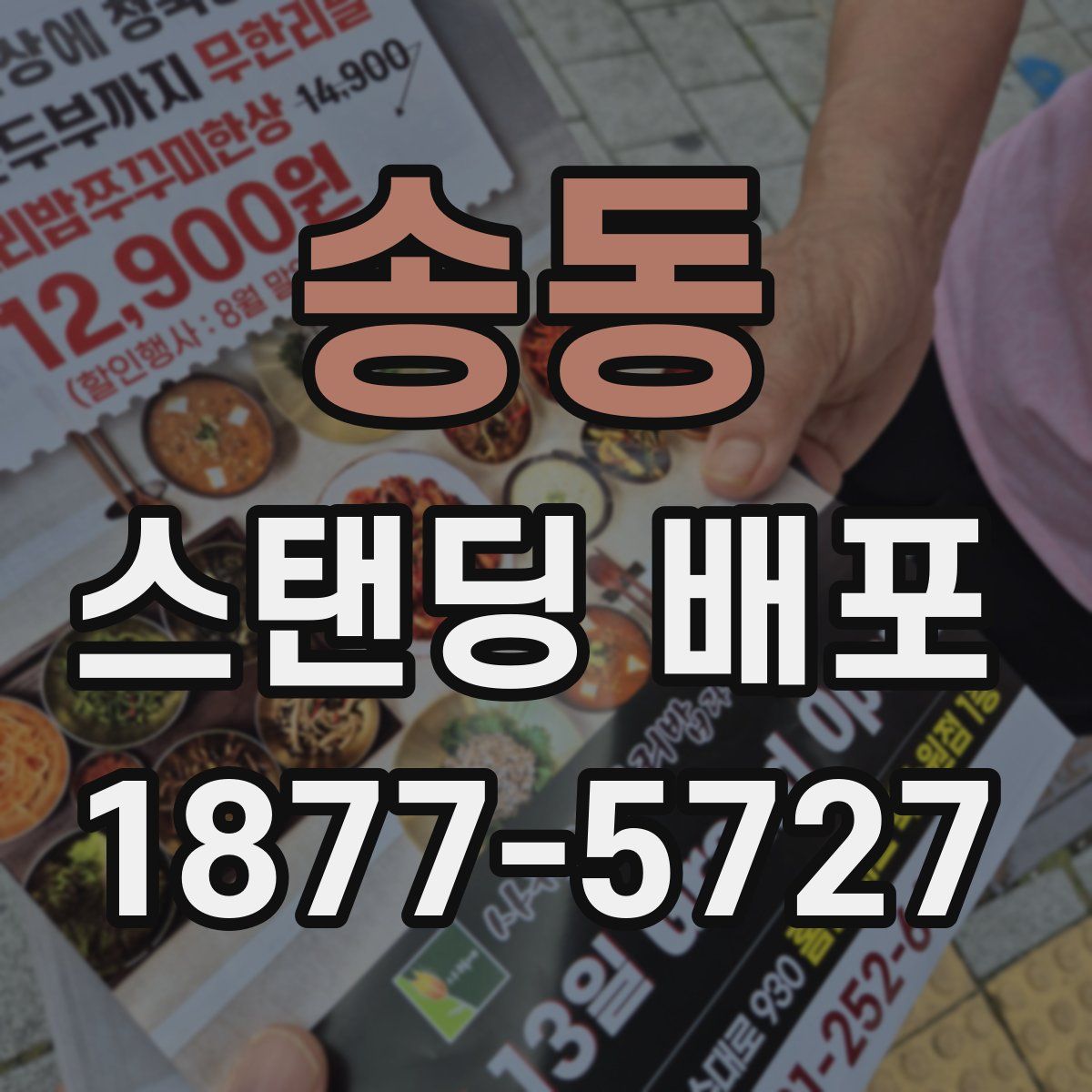 송동 스탠딩 배포
