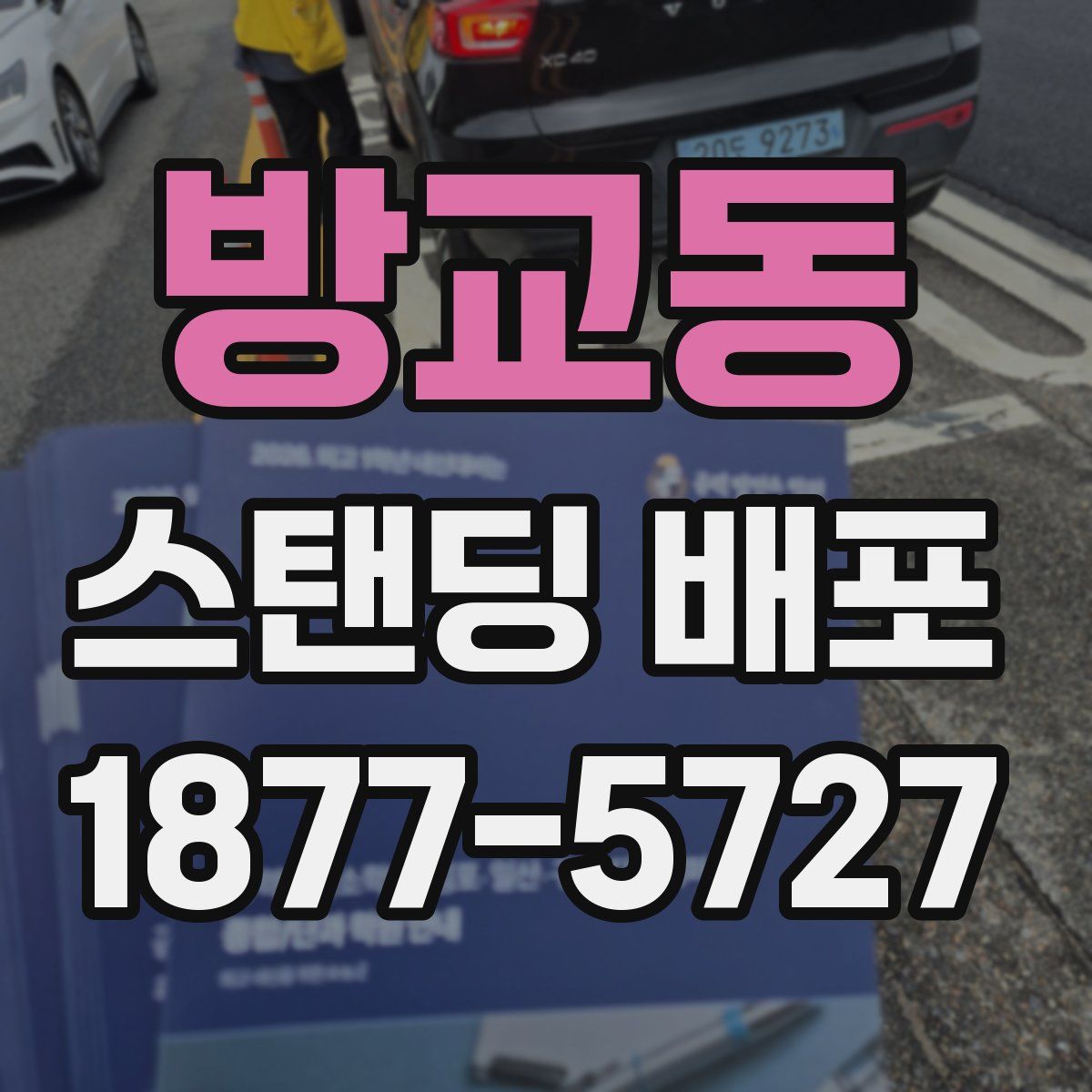 방교동 스탠딩 배포