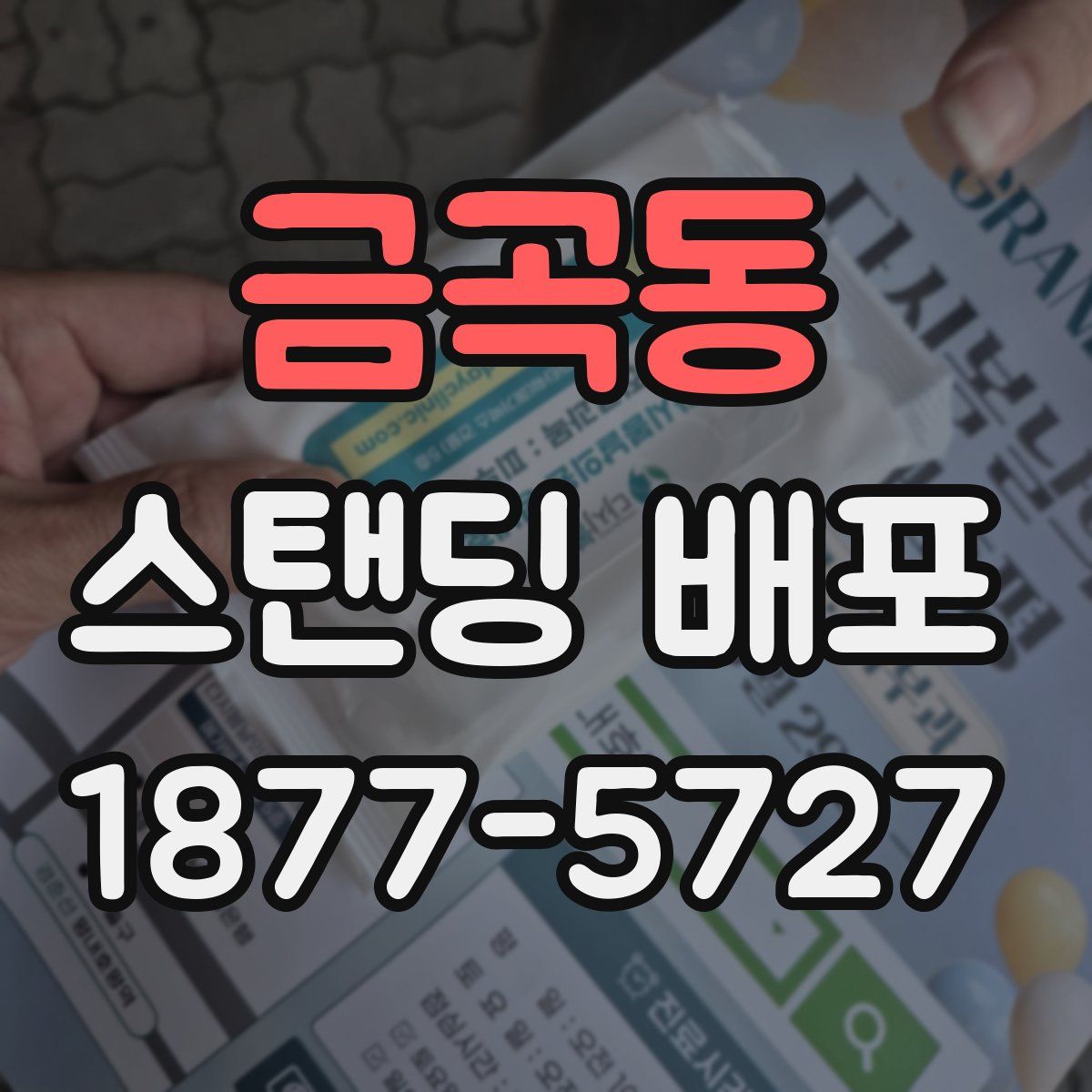 금곡동 스탠딩 배포