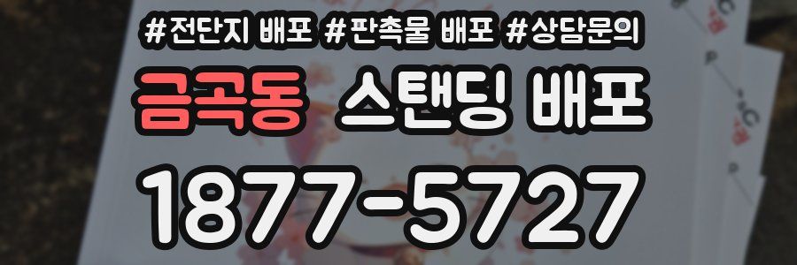금곡동 스탠딩 배포