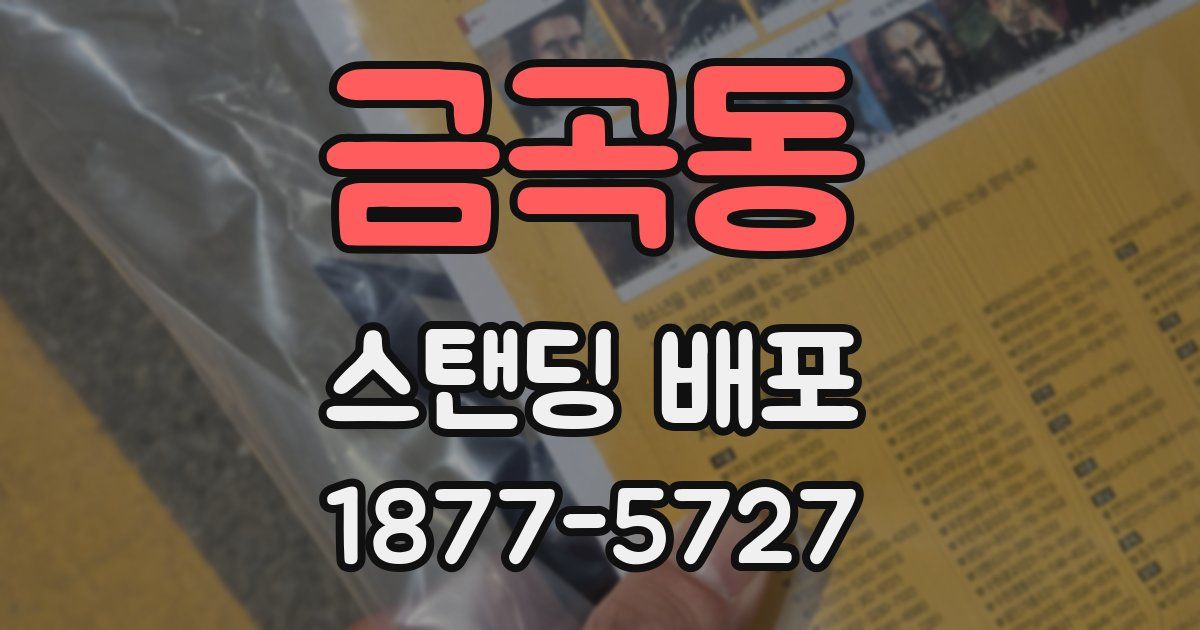 금곡동 스탠딩 배포