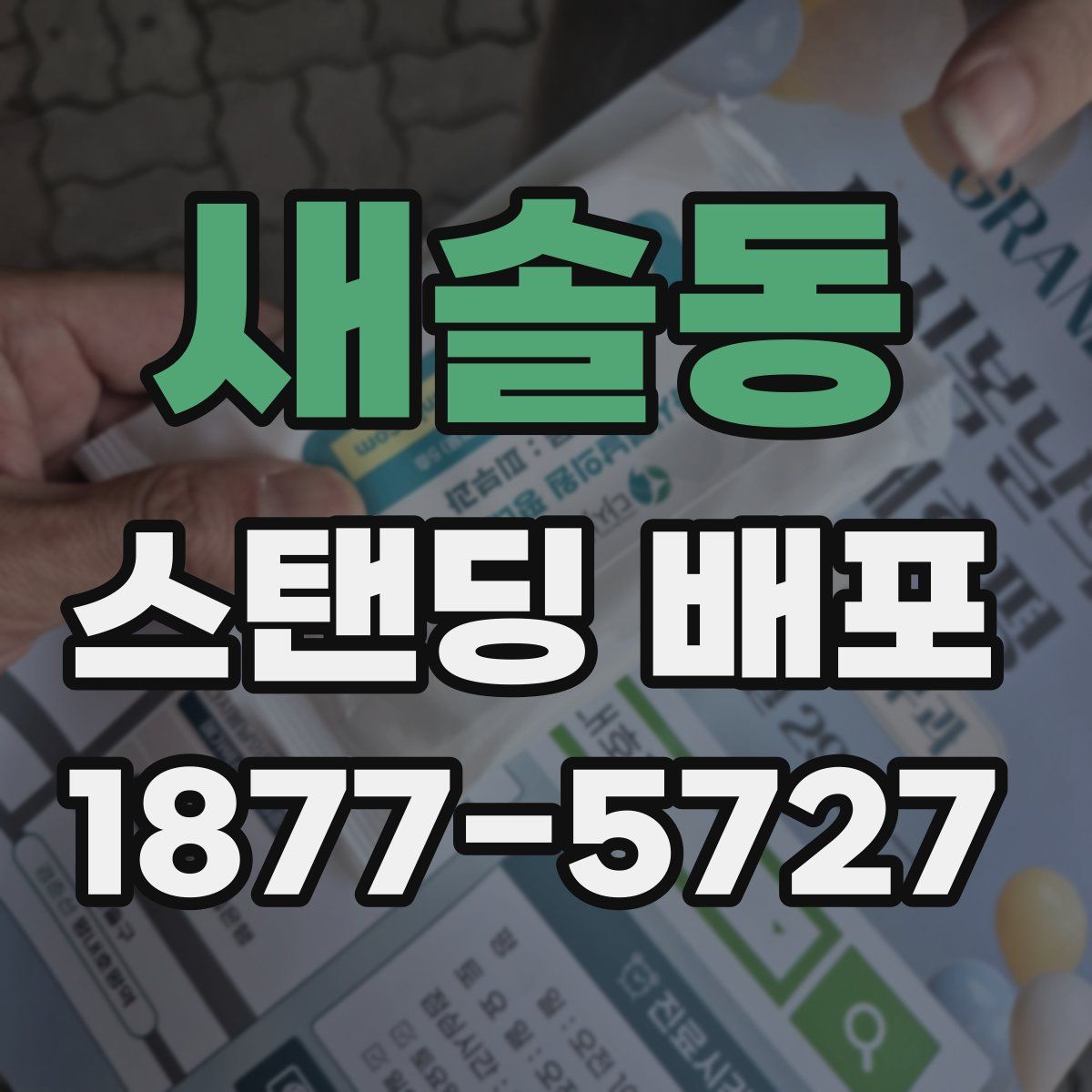 새솔동 스탠딩 배포