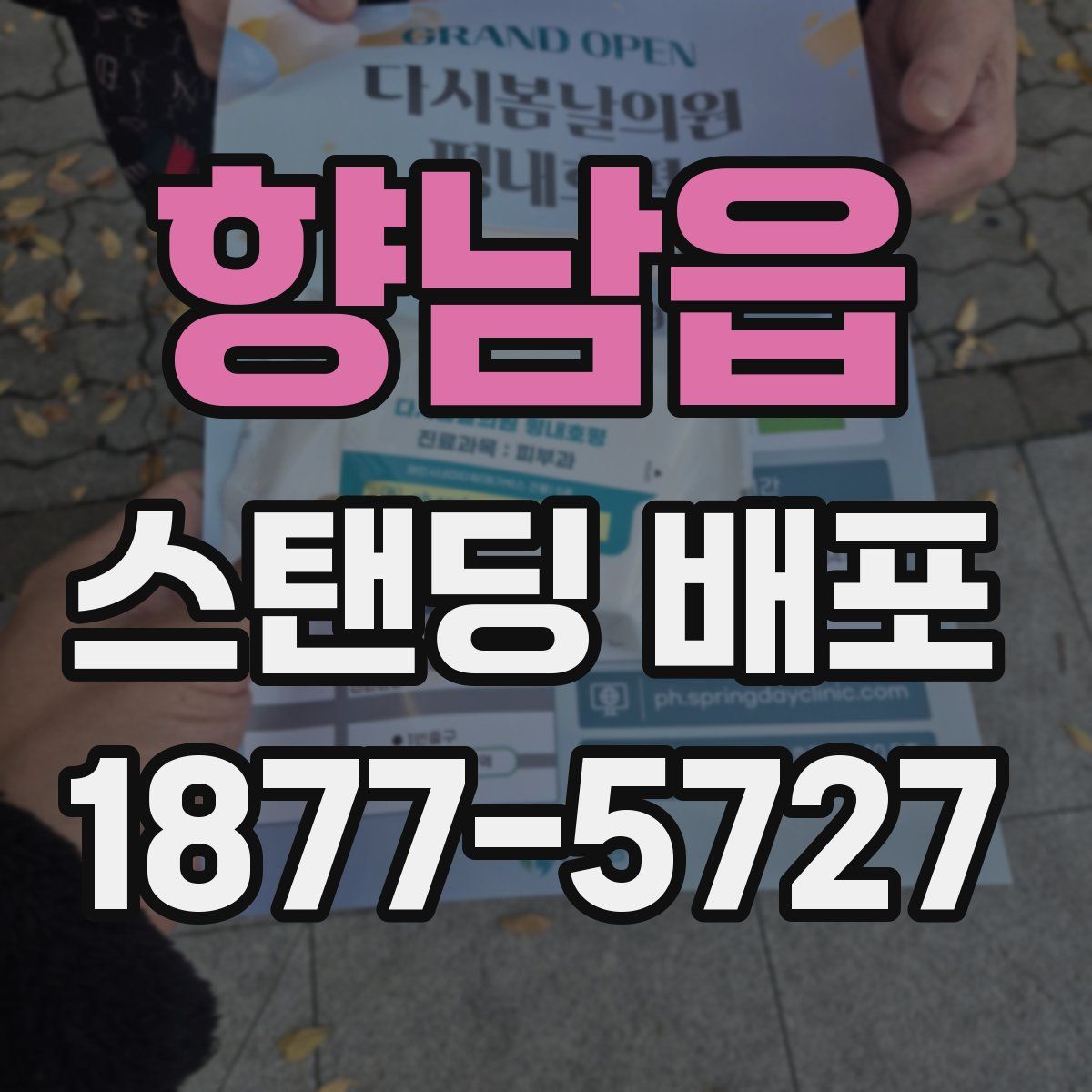 향남읍 스탠딩 배포