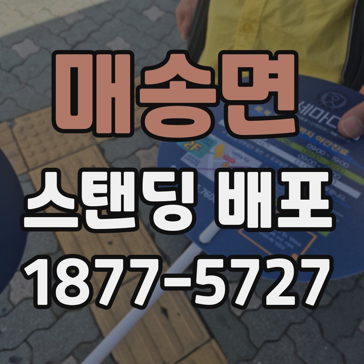 매송면 스탠딩 배포