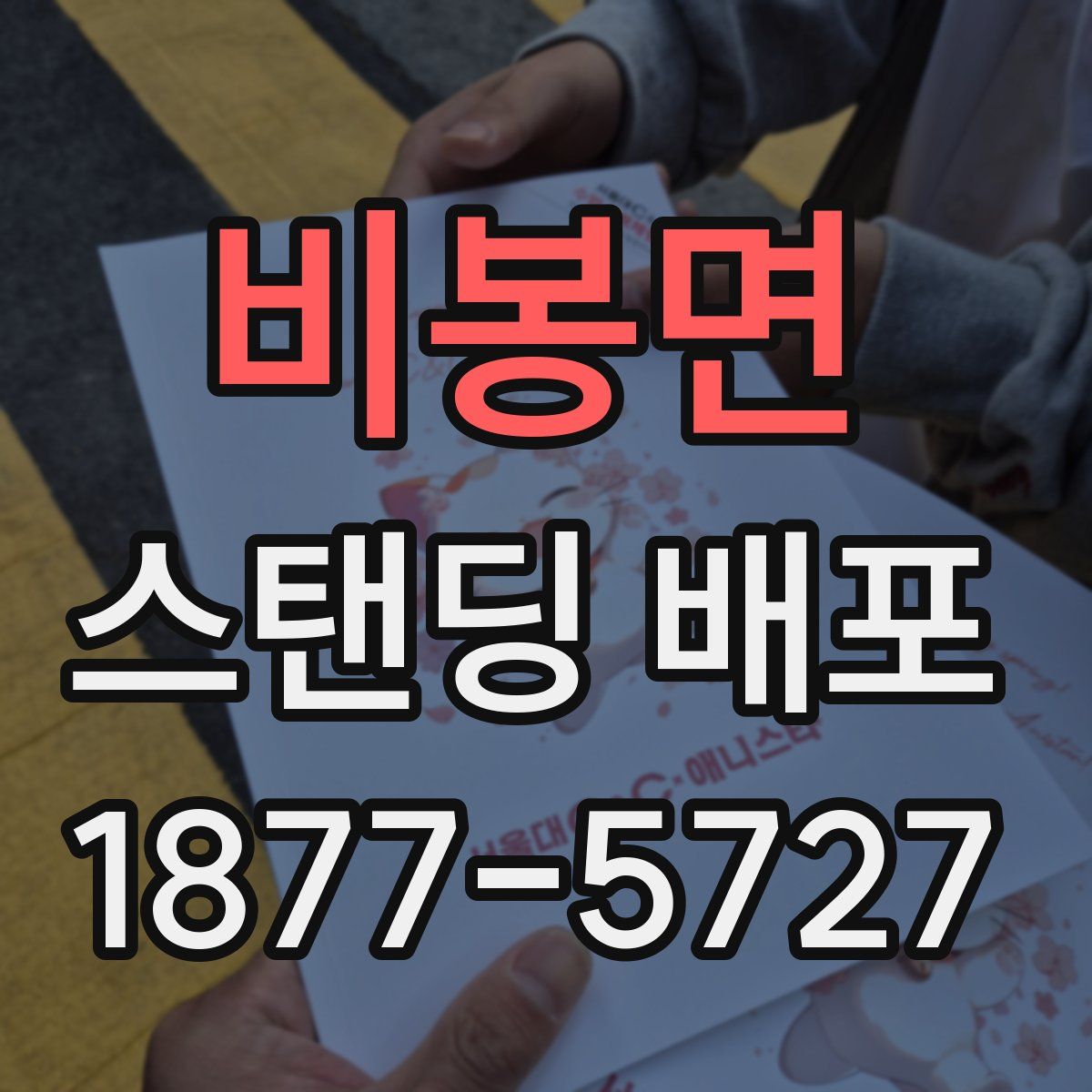 비봉면 스탠딩 배포