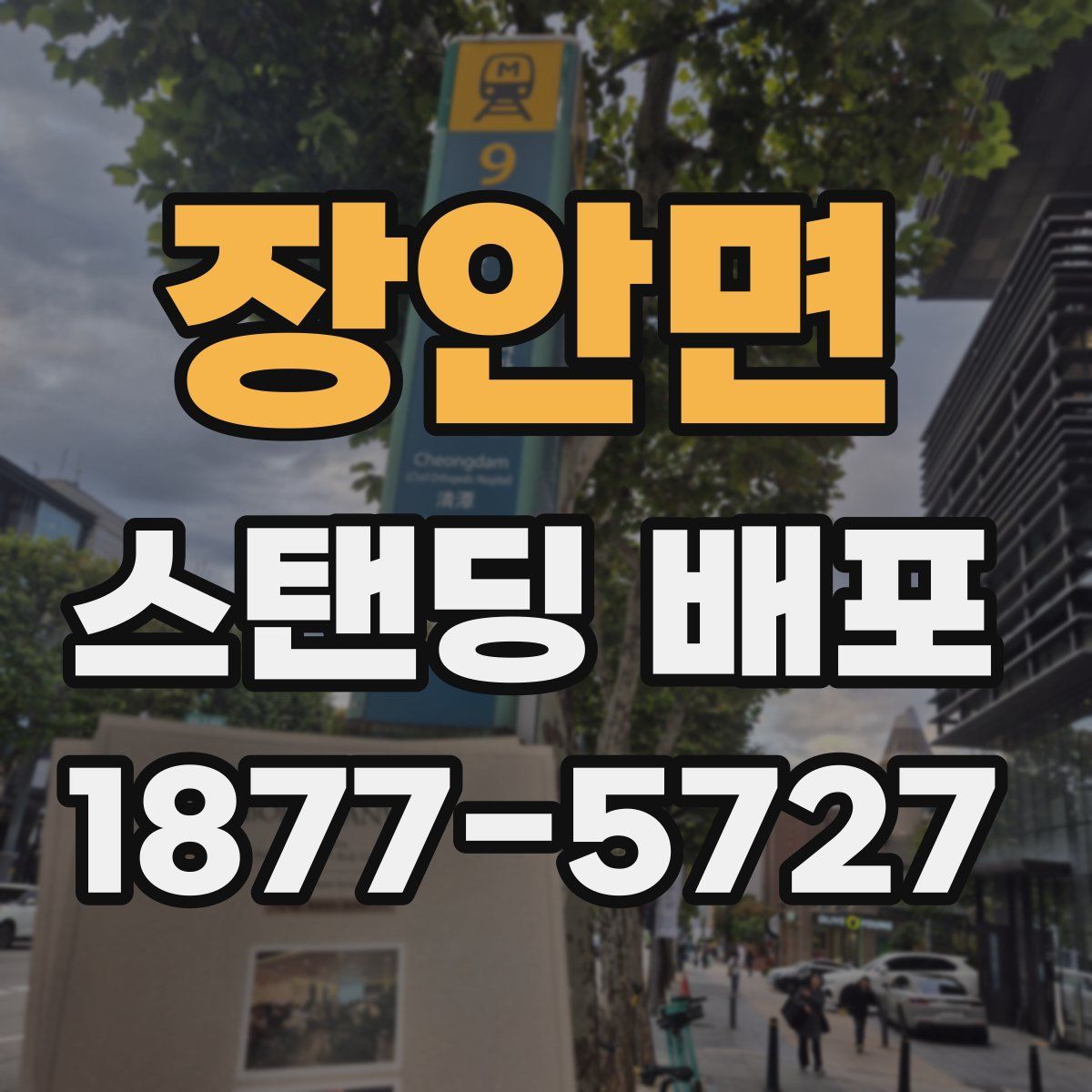 장안면 스탠딩 배포