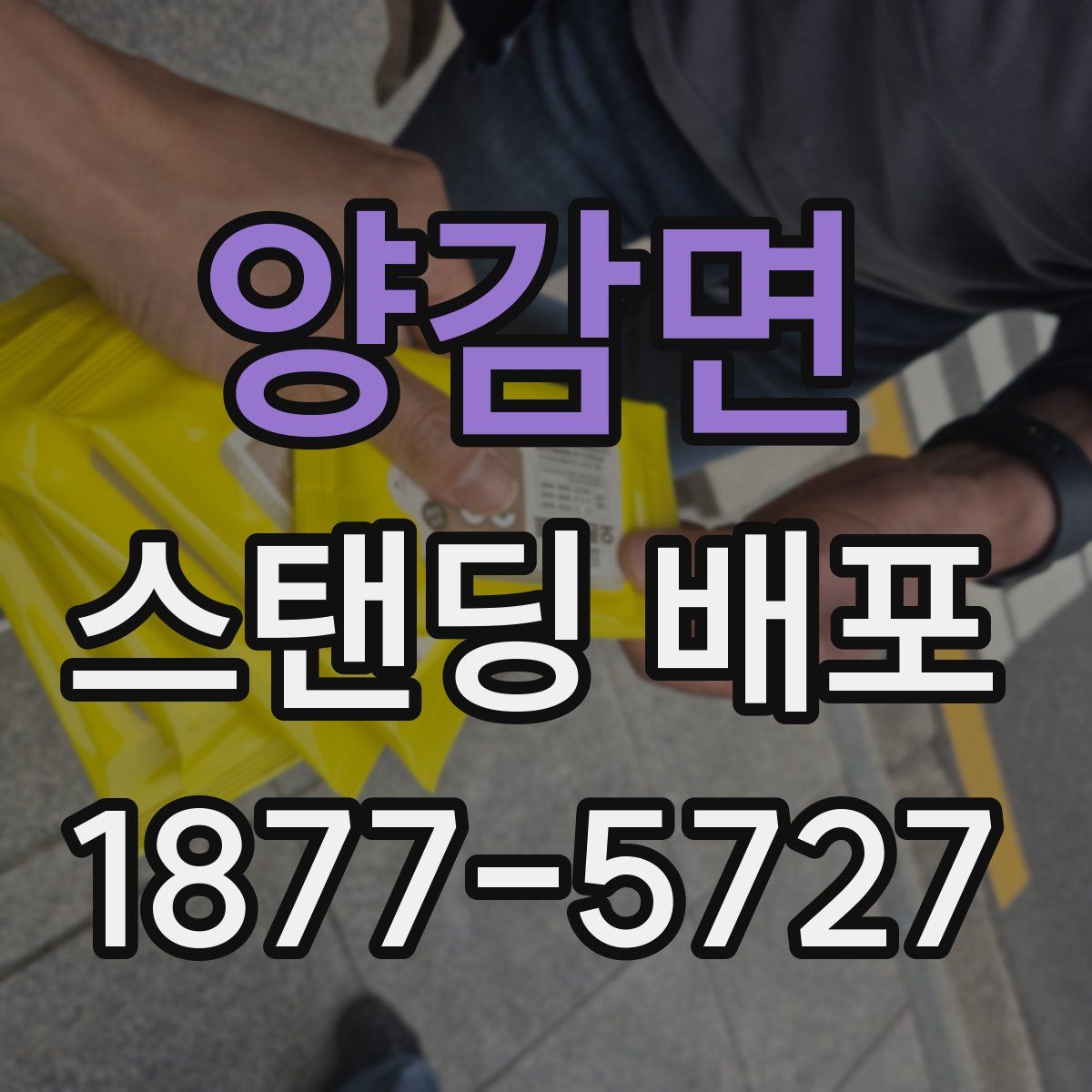 양감면 스탠딩 배포