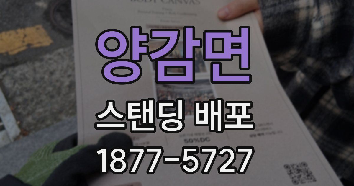 양감면 스탠딩 배포