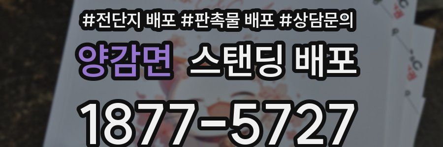 양감면 스탠딩 배포