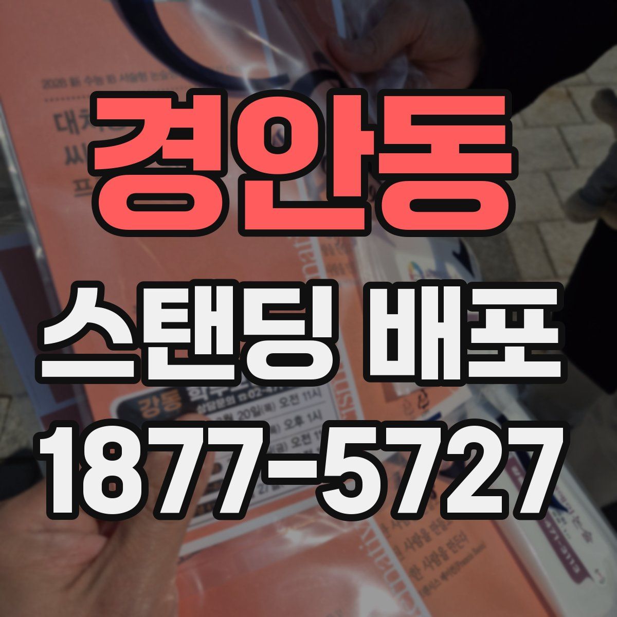 경안동 스탠딩 배포