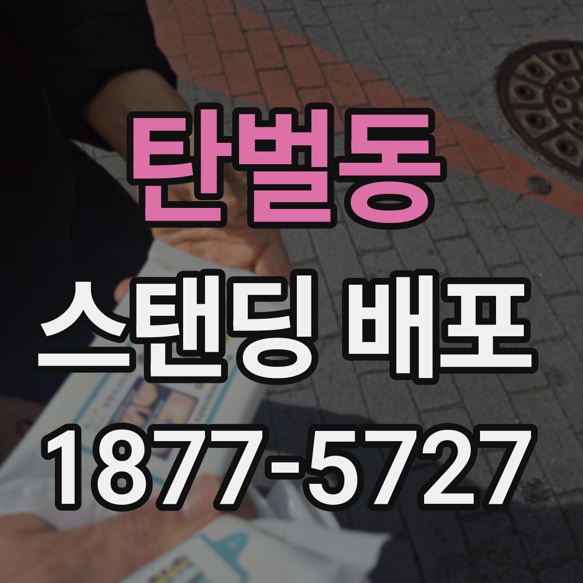탄벌동 스탠딩 배포