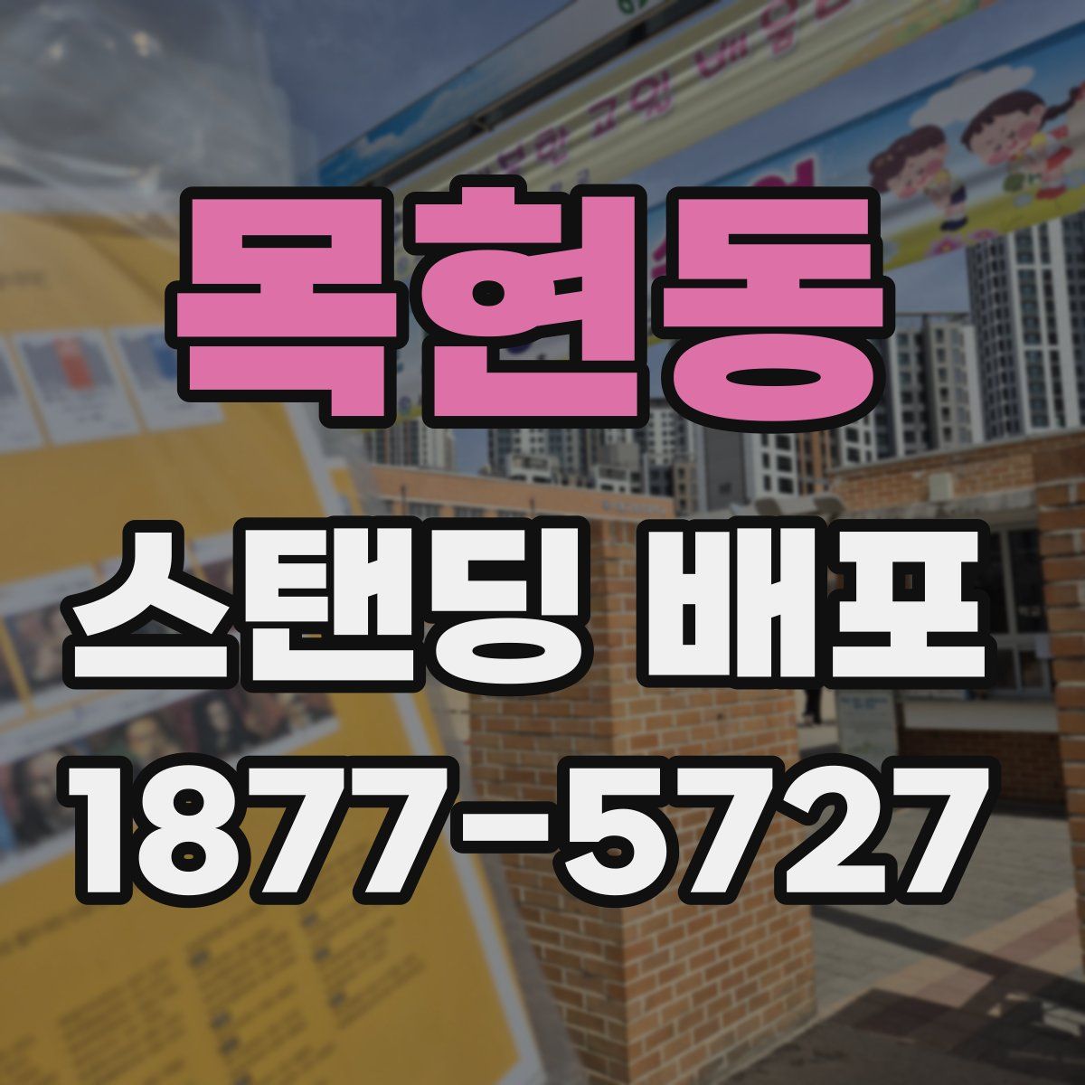 목현동 스탠딩 배포
