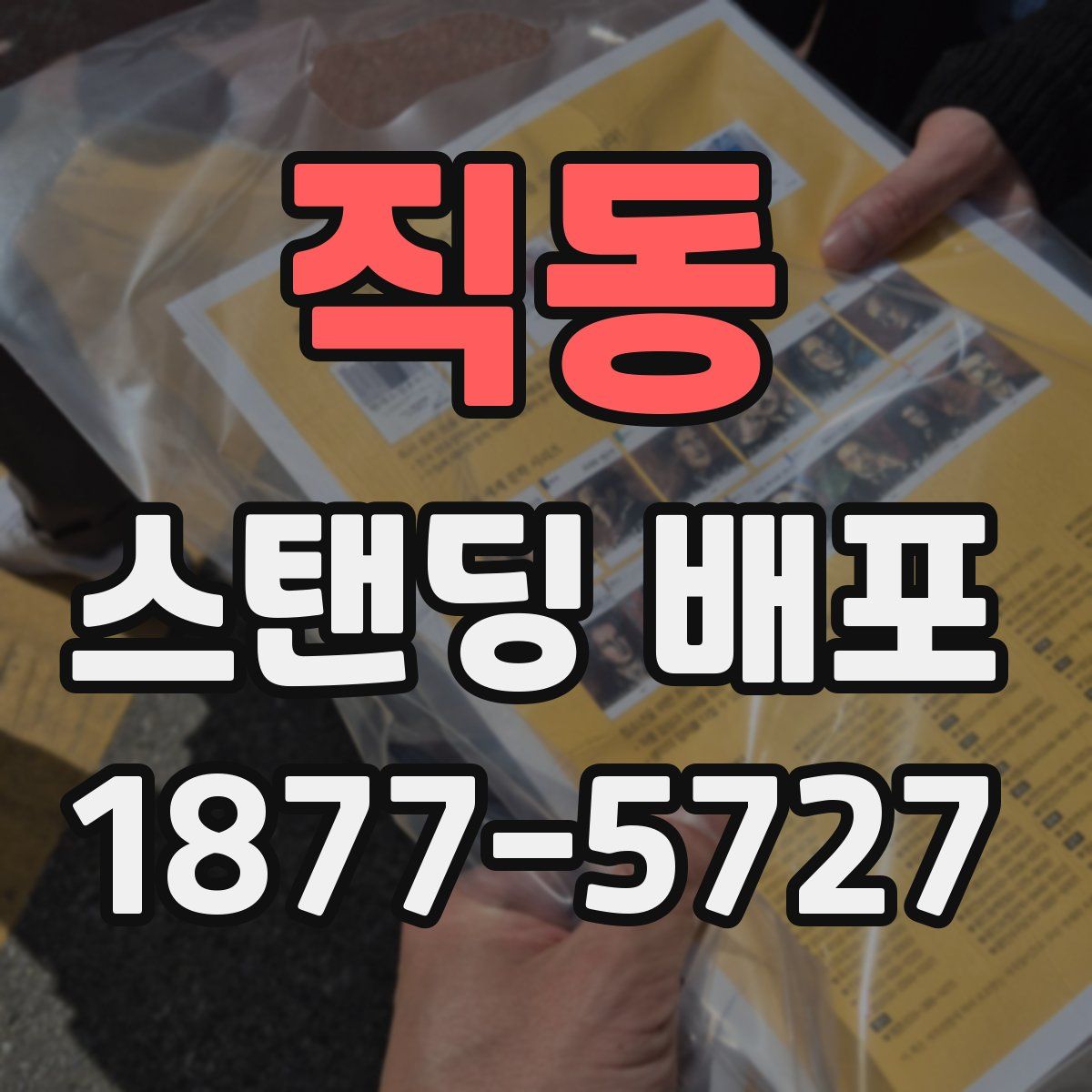 직동 스탠딩 배포