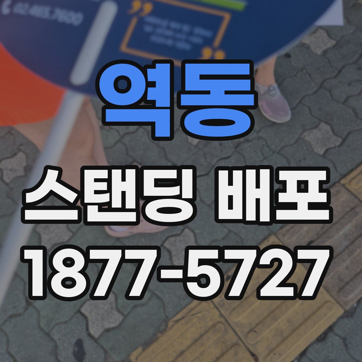 역동 스탠딩 배포