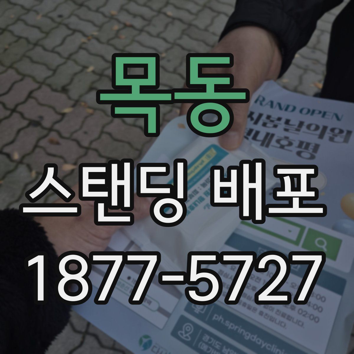 목동 스탠딩 배포