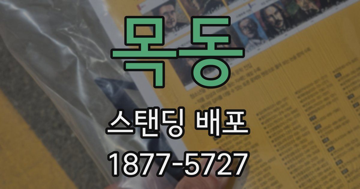 목동 스탠딩 배포