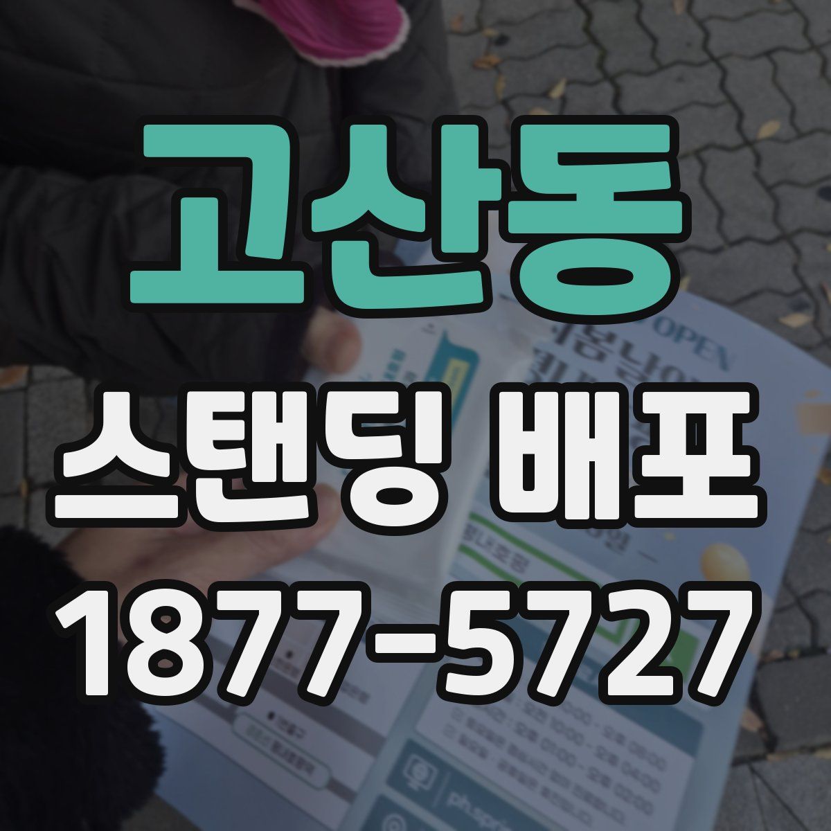 고산동 스탠딩 배포