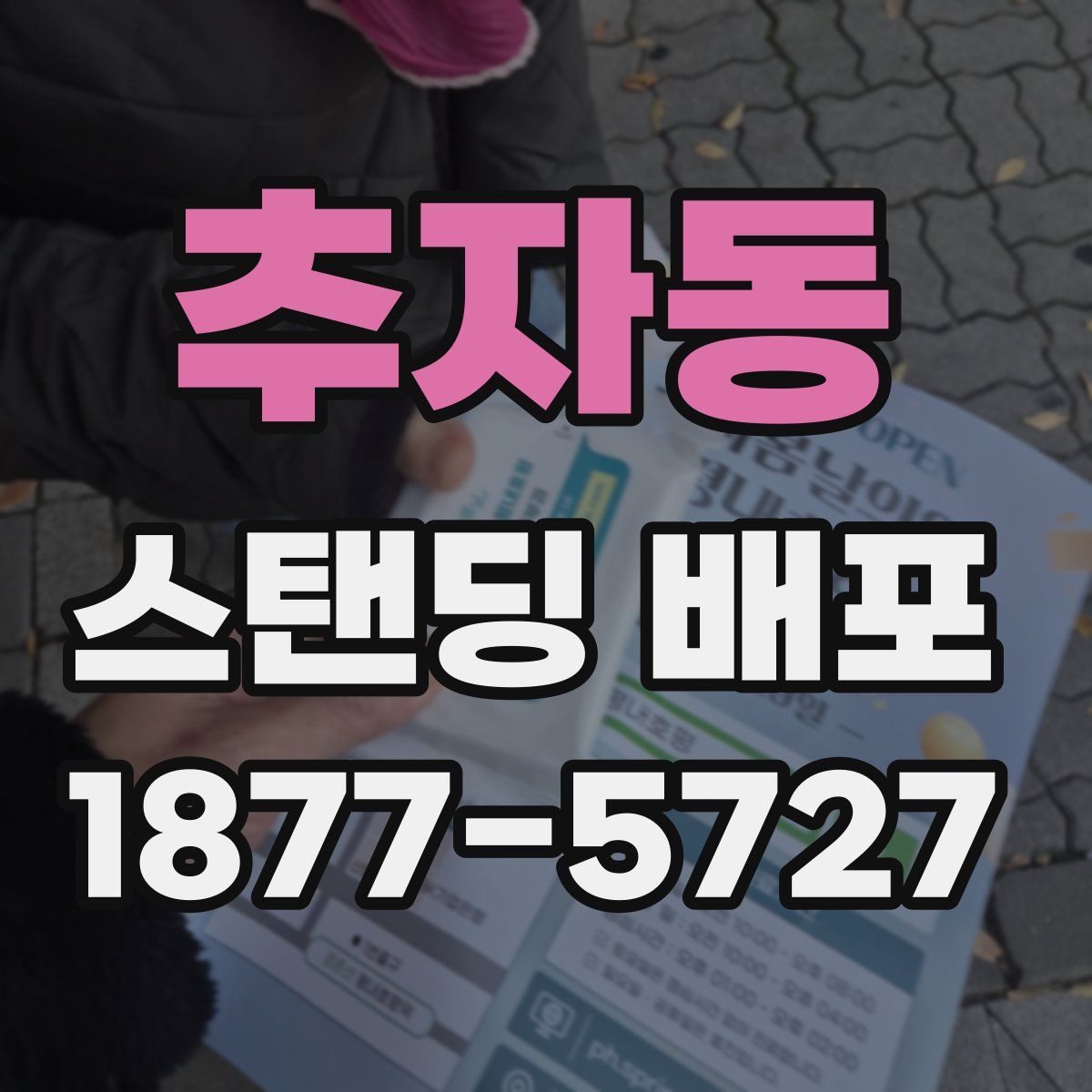 추자동 스탠딩 배포