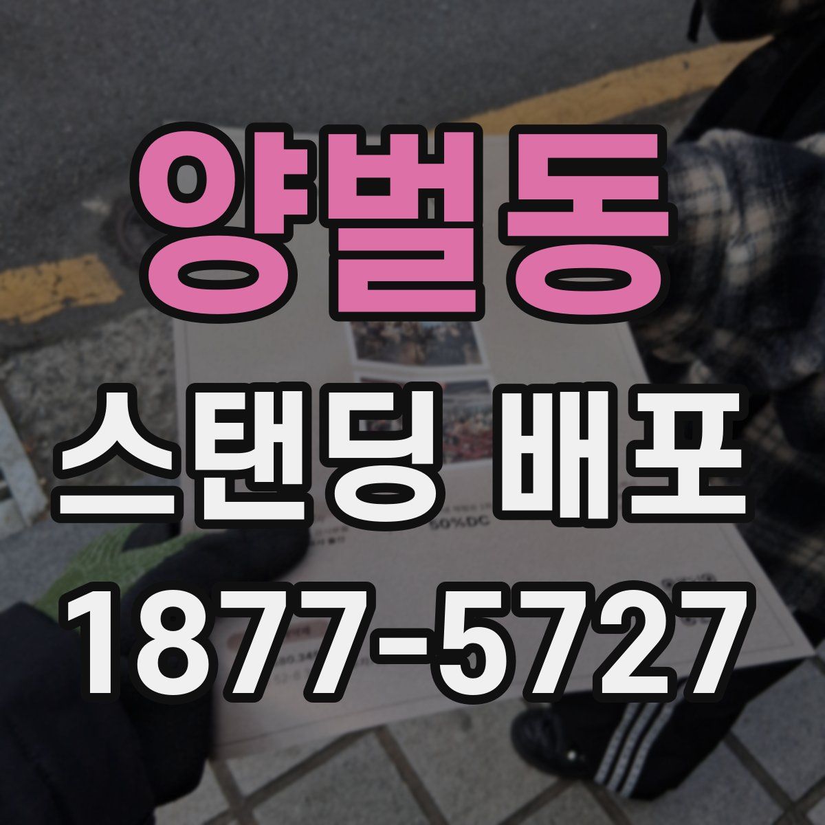 양벌동 스탠딩 배포