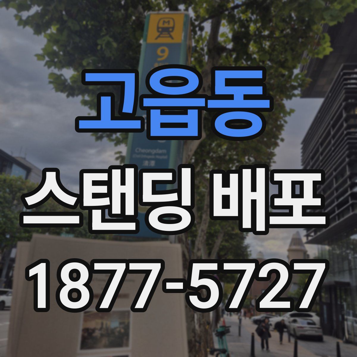 고읍동 스탠딩 배포