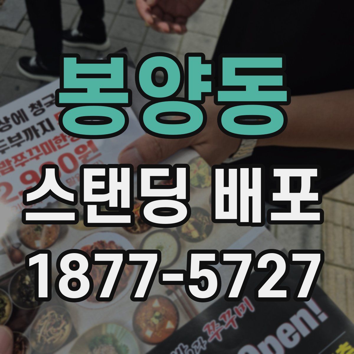 봉양동 스탠딩 배포