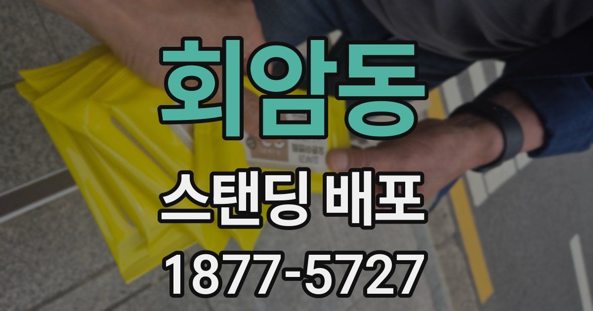 회암동 스탠딩 배포