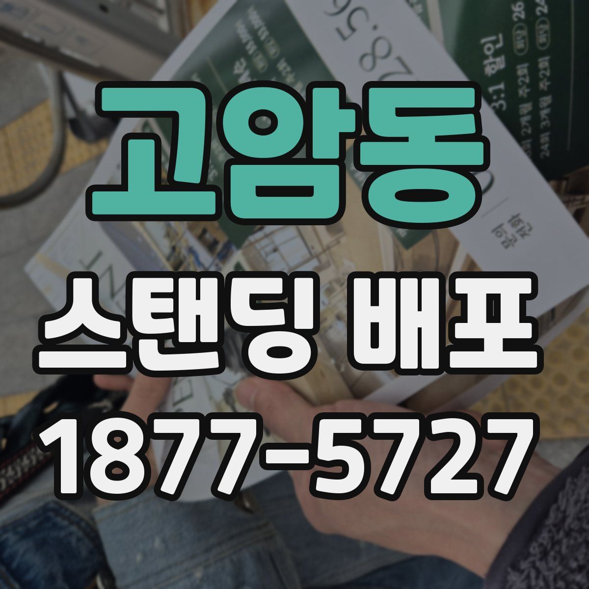 고암동 스탠딩 배포
