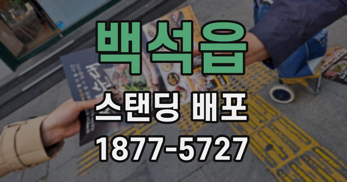 백석읍 스탠딩 배포