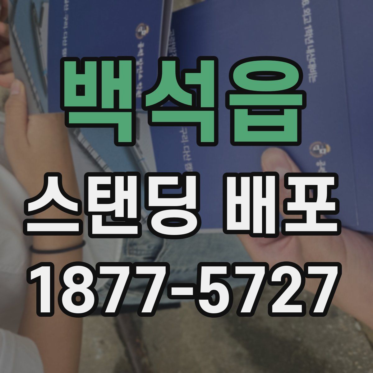 백석읍 스탠딩 배포