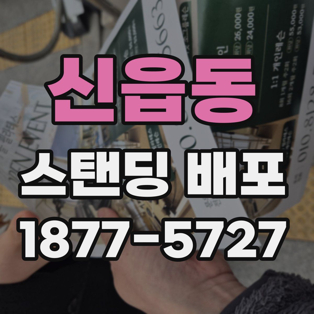 신읍동 스탠딩 배포