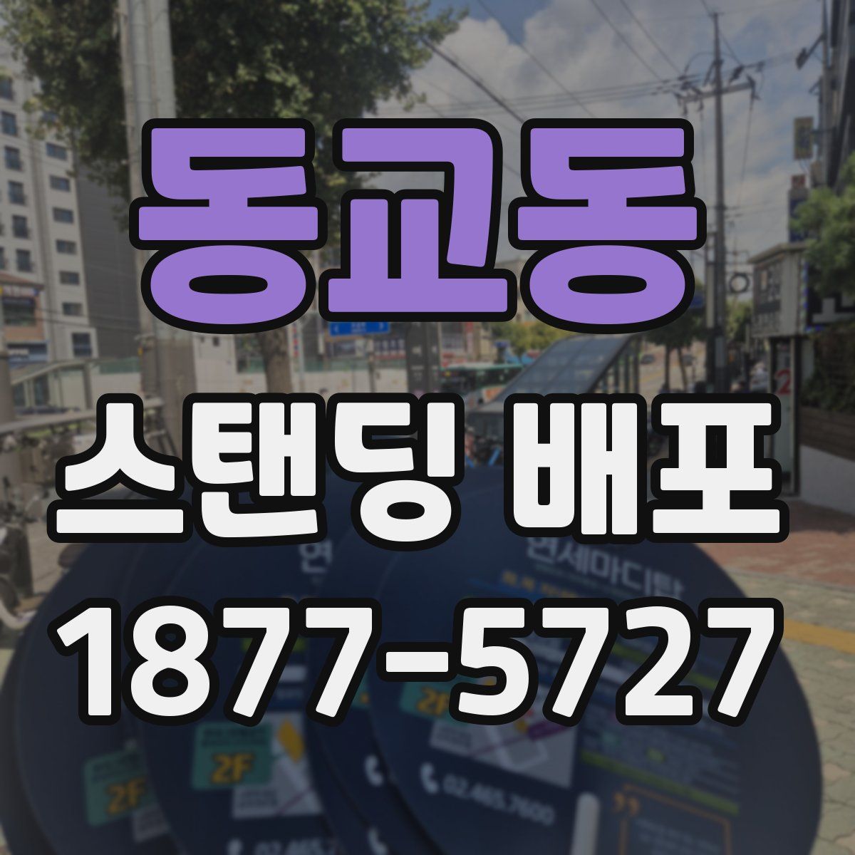 동교동 스탠딩 배포