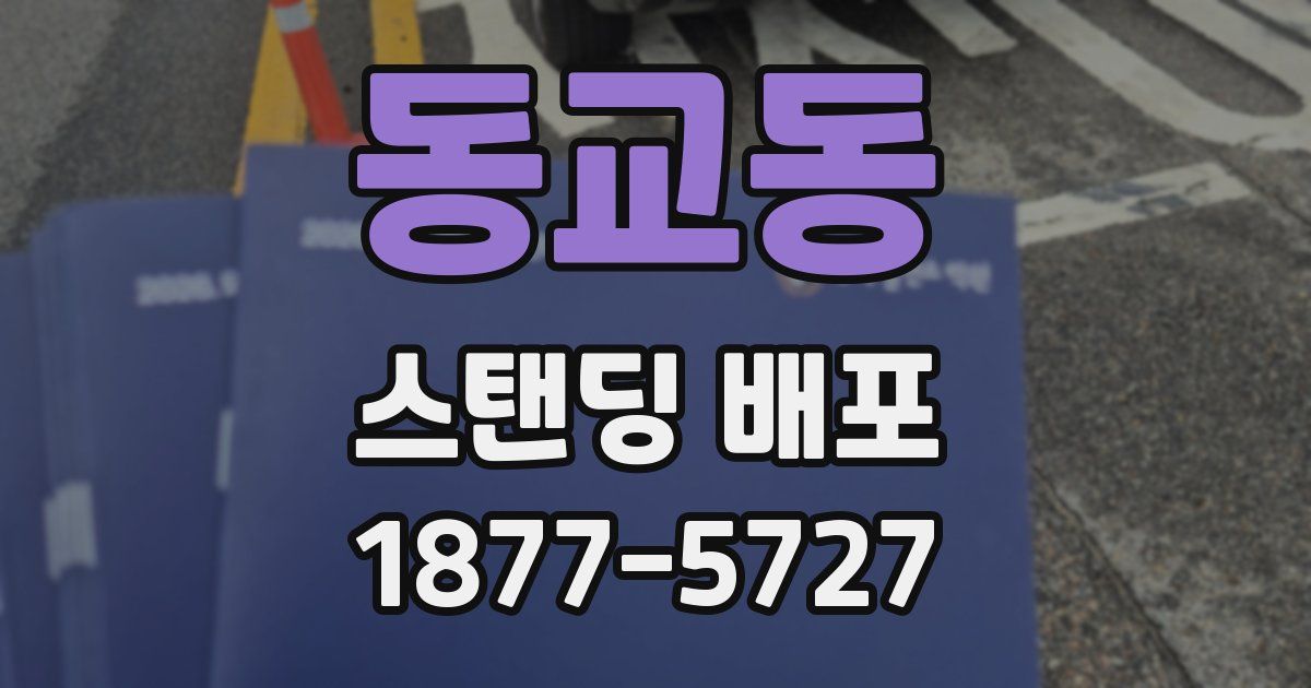 동교동 스탠딩 배포