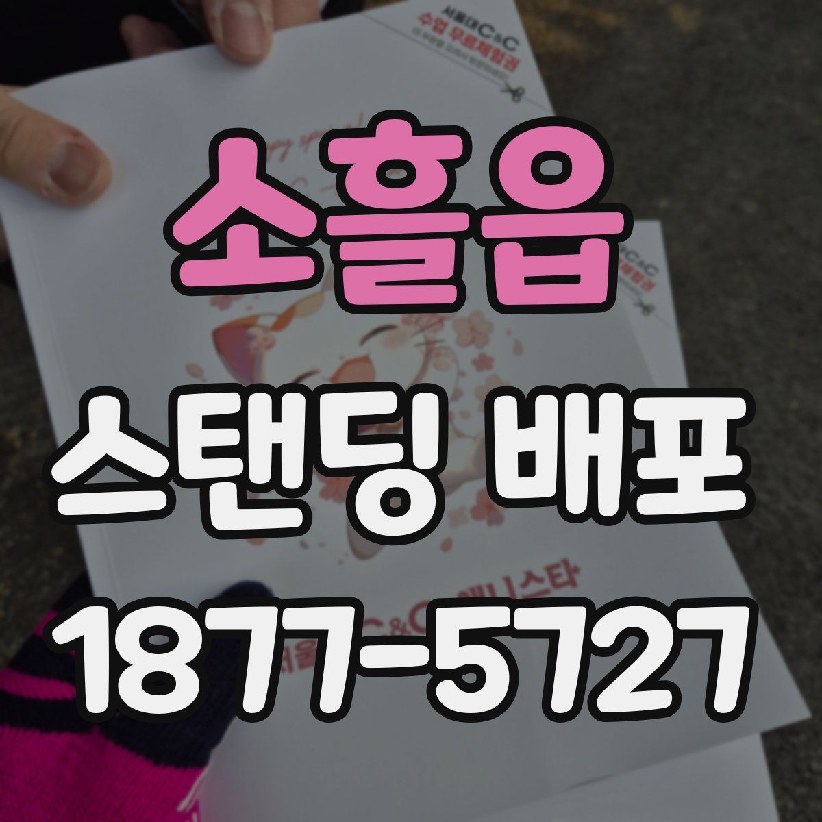 소흘읍 스탠딩 배포