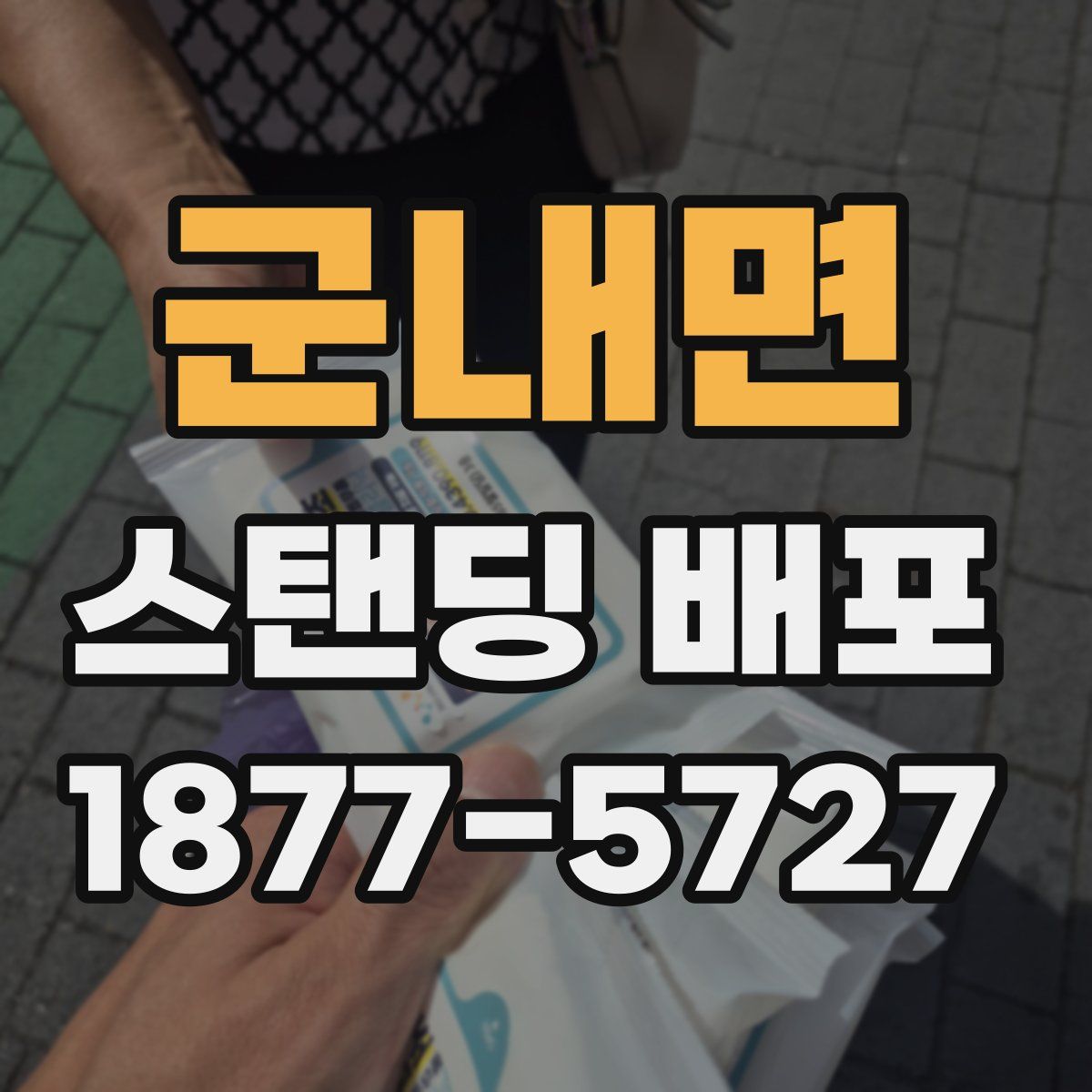 군내면 스탠딩 배포