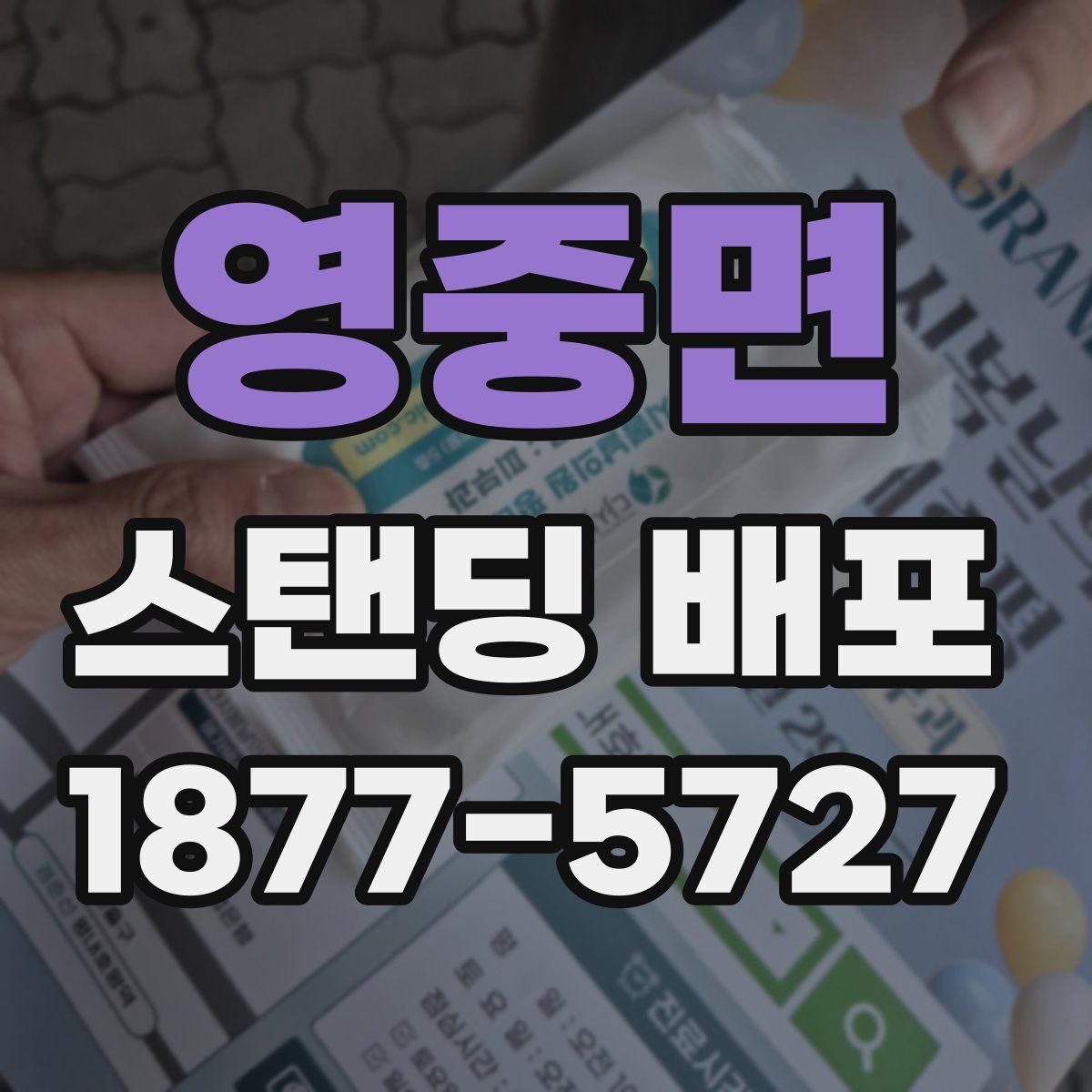 영중면 스탠딩 배포