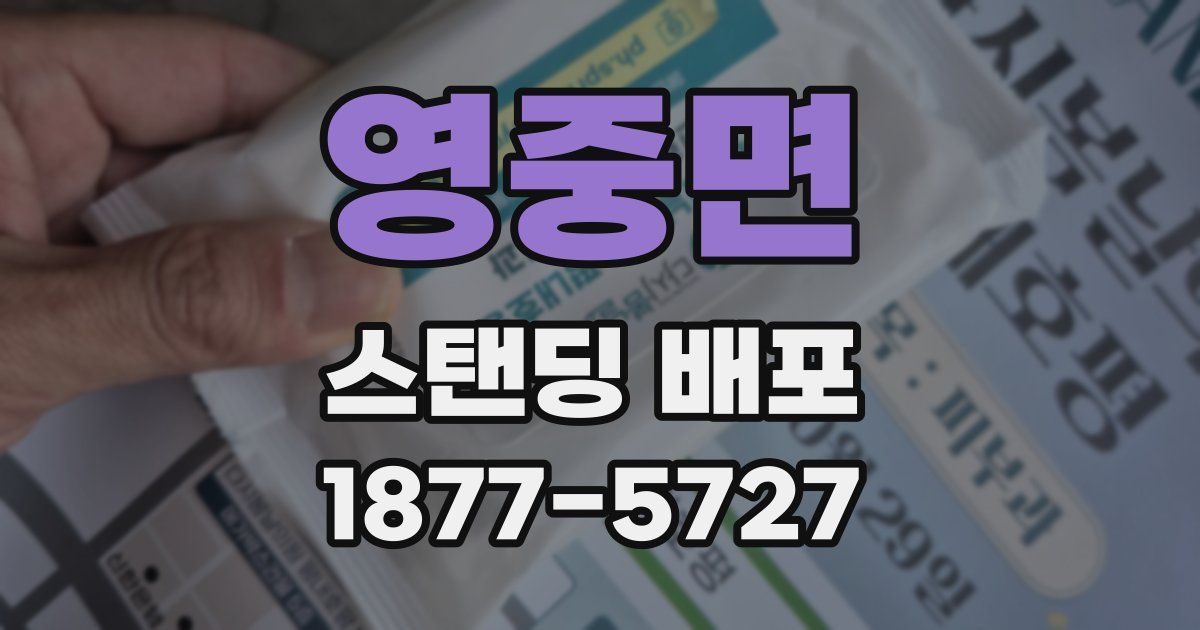 영중면 스탠딩 배포