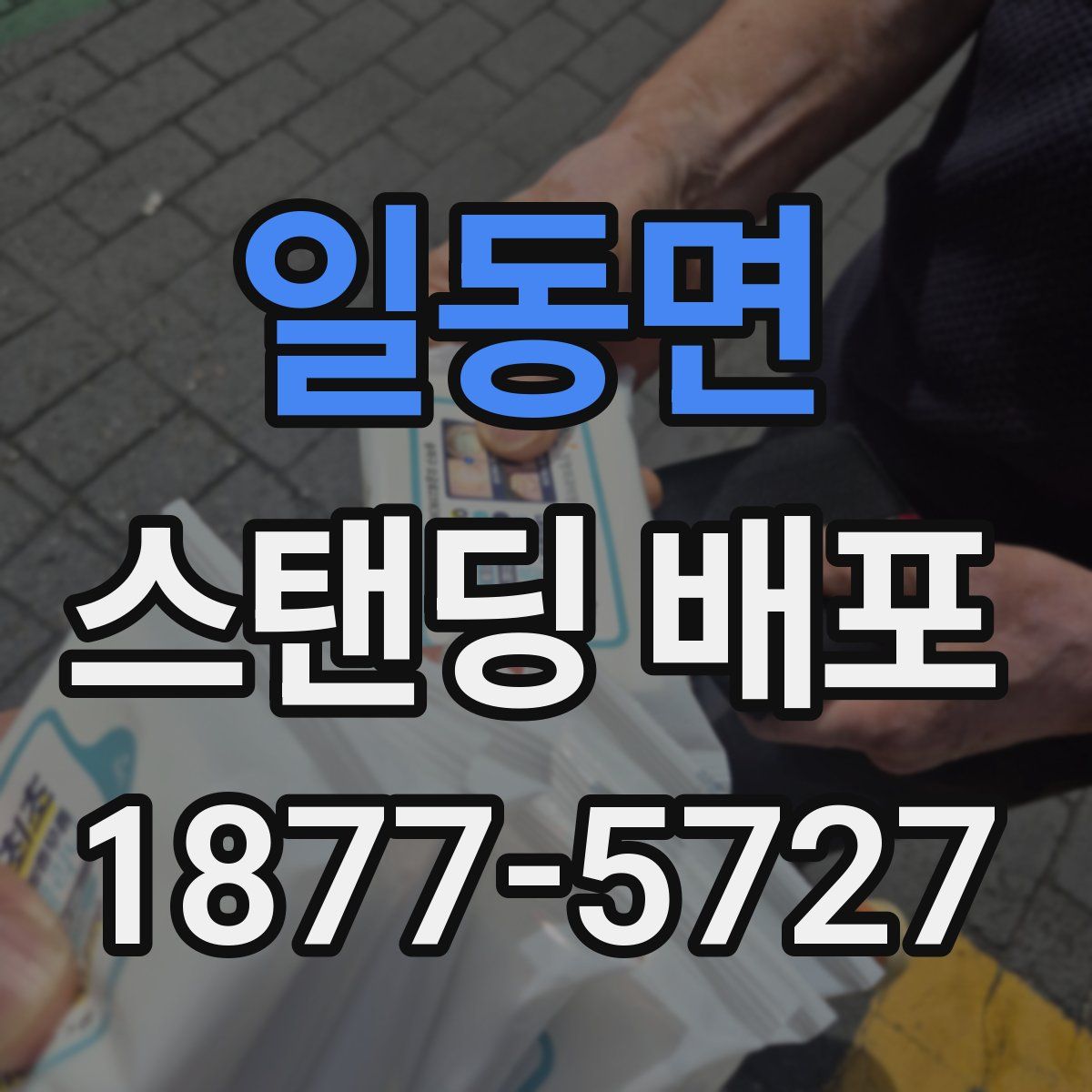 일동면 스탠딩 배포