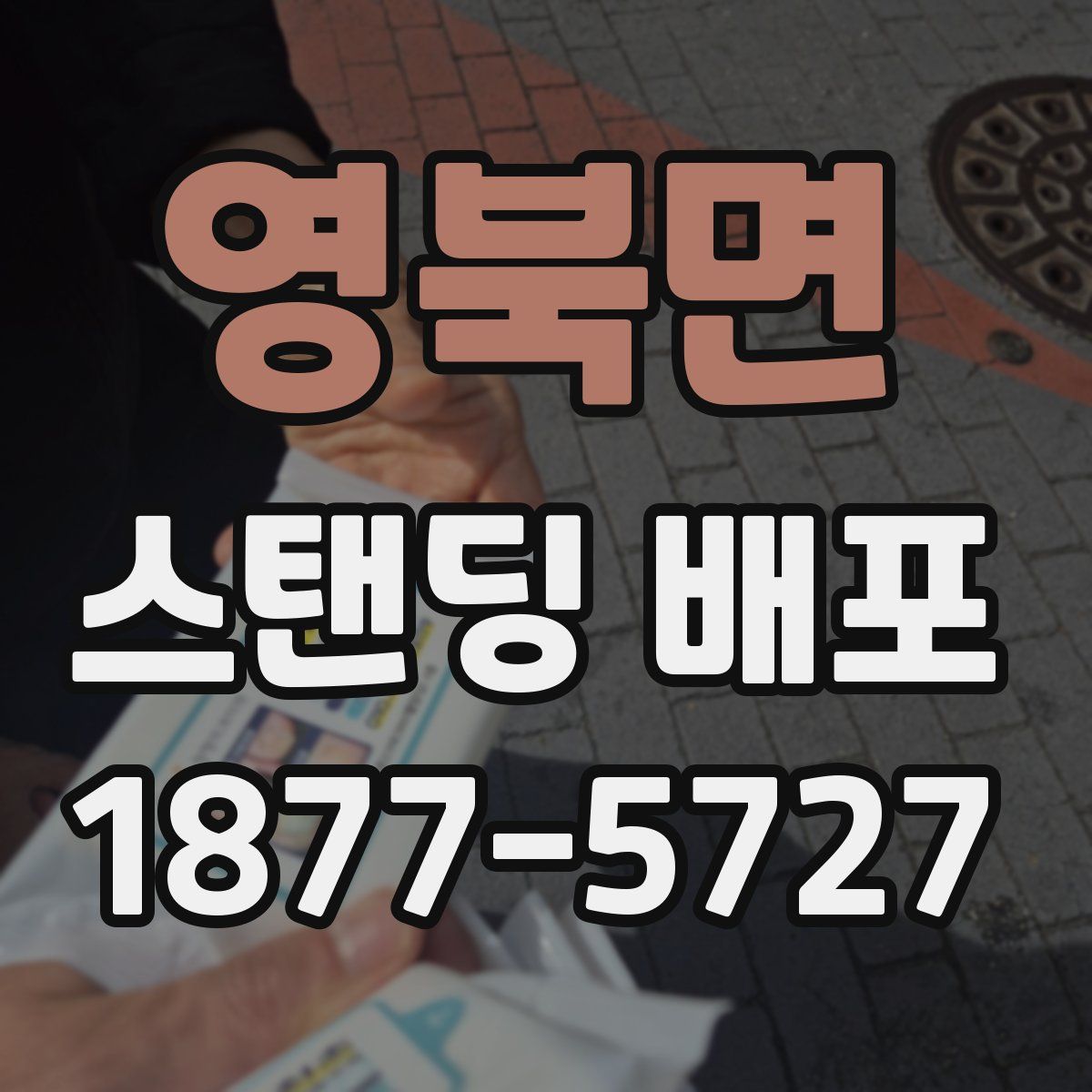 영북면 스탠딩 배포