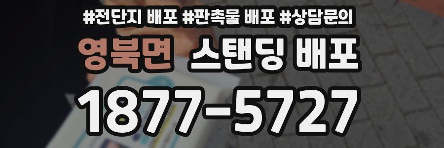 영북면 스탠딩 배포