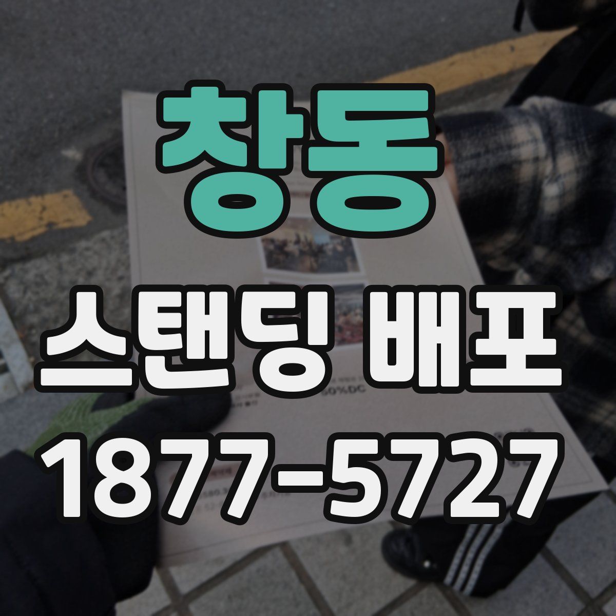 창동 스탠딩 배포